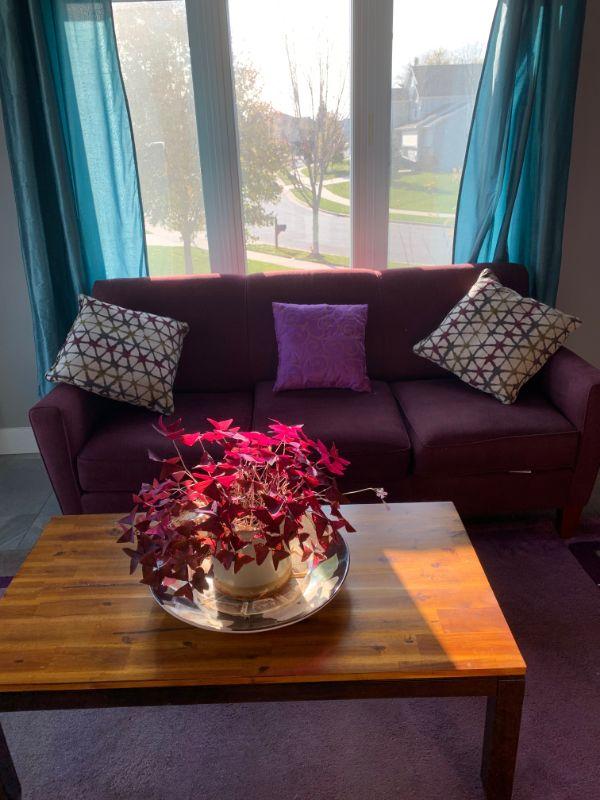 Sun Prairie Estate Sale  11/07/20